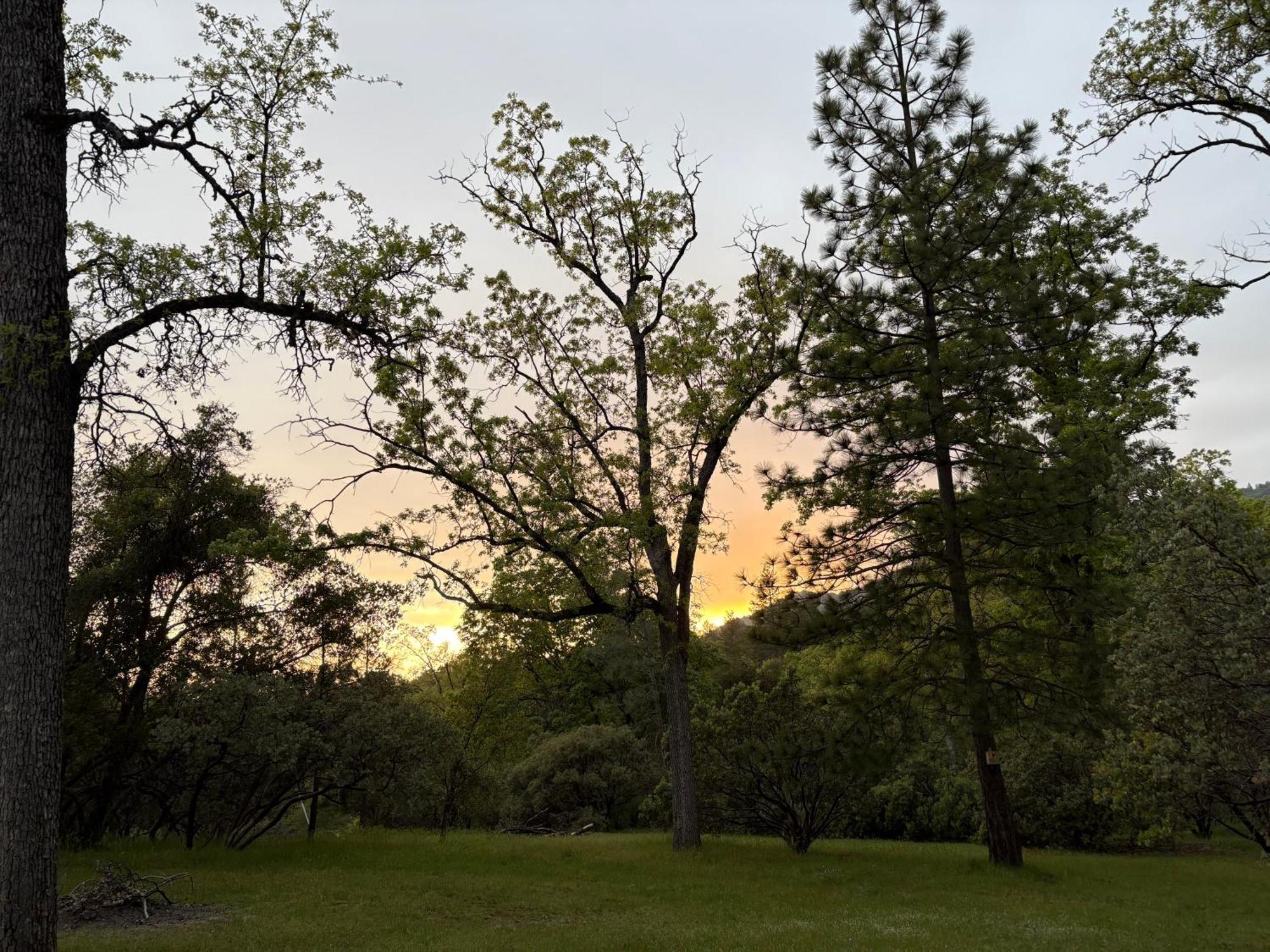 The Mountains Are Calling - Private, Retreat Near Yosemite Gasthuis